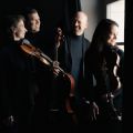 All four members of Cuarteto Casals in a dark room, holding their instruments, standing next to a bright window that is casting shadows on ther smiling faces.