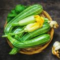 a basket full of fresh zucchini