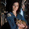 a woman holding a cat