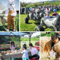 Event Photo: Easter Weekend at Topaz Farm