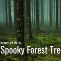 Event Photo: Forest Pub: Spooky Forest Tree Lore
