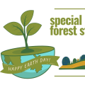 Event Photo: Special Earth Day Forest Stories