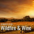 orange, smoky skies ove a field of grapes 