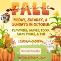 Event Photo: Triskelee Farm Fall Fest