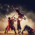 Event Photo: White Bird Presents: Compagnie Hervé Koubi