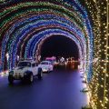 volkswagen beetles driving through a tunnel of lights