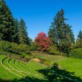 Event Photo: Washington Park Summer Festival