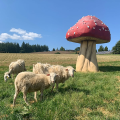 three lambs in a field next to a giant mushroom