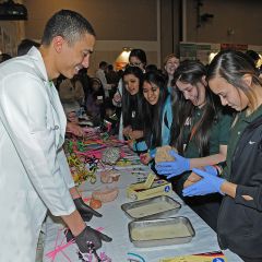 Brain Fair