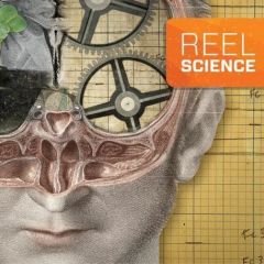 Reel Science: The Divided Brain