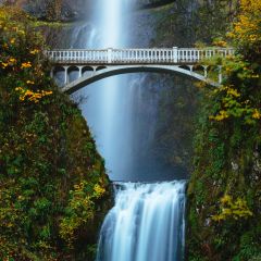 Wildwood Tours Half Day Gorge Waterfalls Tour