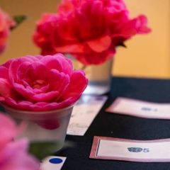 Newberg Camellia Festival