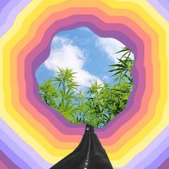 Cultivation Classic