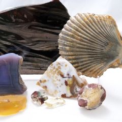Portland Regional Gem and Mineral Show