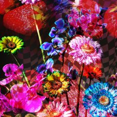 Well Well Projects Presents: Color Burn