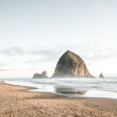 Wildwood Adventures Full Day Oregon Coast Tour