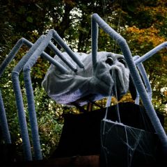 Clackamas County Scare Fair