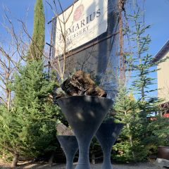 Pomarius Plein Air Partner Holiday Shop