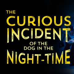 The Curious Incident of the Dog in the Nighttime