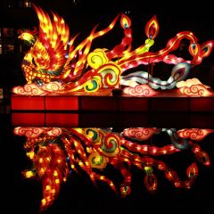 Chinese New Year Lantern Viewing