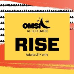 OMSI After Dark