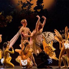 Midsummer Night's Dream