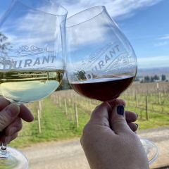 Oregon Wine Tasting Tour