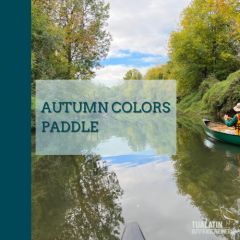 Autumn Colors Paddle