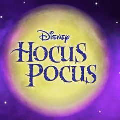 Hocus Pocus in Concert