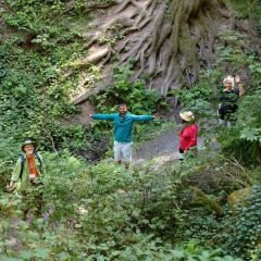 Landslides, Faults, and the Geology of Portland's West Hills Tour