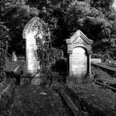 A Night with Ghosts