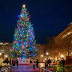 Annual Tree Lighting Ceremony