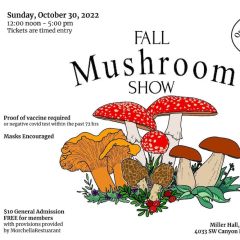 Fall Mushroom Show 