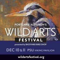 Wild Arts Festival