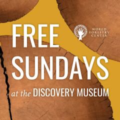 Free Sundays at World Forestry Center's Discovery Museum