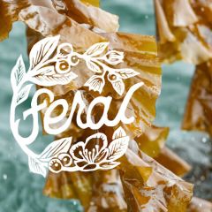 Winter Waters x Veganizer: Feral