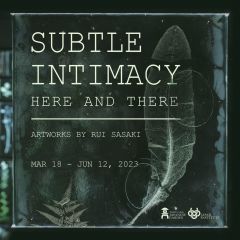 Subtle Intimacy: Here and There