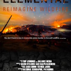 Wildfire Film Screening and Panel