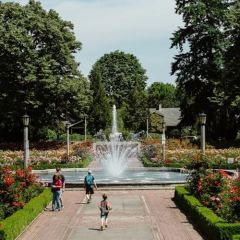 Opera in the Park