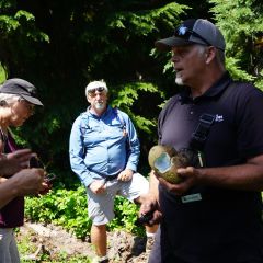 Mushroom Hunt Series