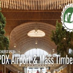 Forest Pub: Building the New PDX Airport with Local Mass Timber