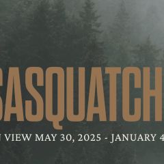 Sasquatch: Ancestral Guardians