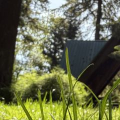 Touch Grass