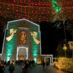 Christmas Festival of Lights