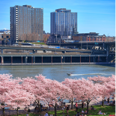 Event Photo: Social Media Deep Dive Webinar