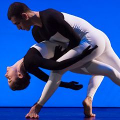 White Bird presents: CNDC-Angers/Robert Swinston
