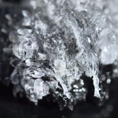 APEX: Laura Fritz