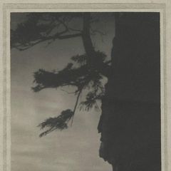 Toughened to Wind and Sun: Women Photographing the Landscape