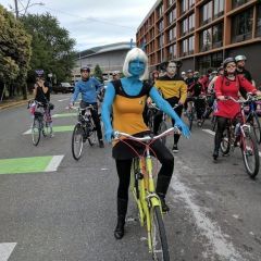 Pedalpalooza