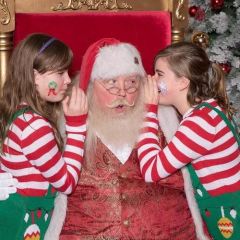 Festival of Trees